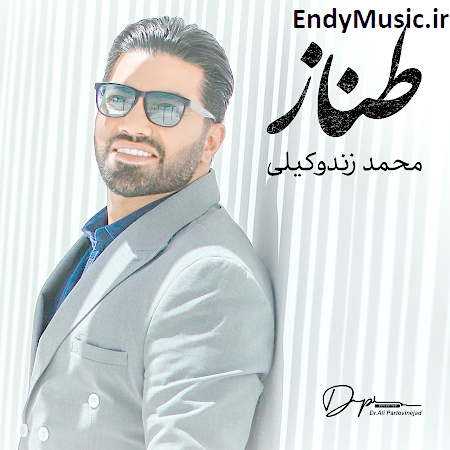 دانلود آهنگ طناز محمد زند وکیلی