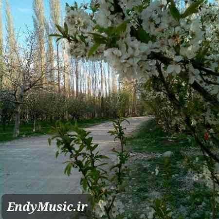دانلود مداحی دل علی دلبر علی سرور علی سجاد محمدی