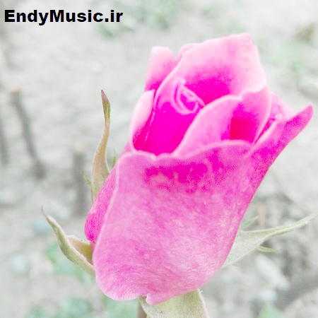 دانلود آیت الکرسی صوتی با صدای بچه