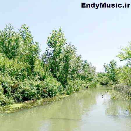 دانلود آهنگ عربی غفور غفور