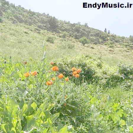 دانلود آهنگ لالا لالا گل کاشی یه خونه توی نقاشی