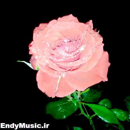 دانلود آهنگ من آسمونم لباس شب می پوشم
