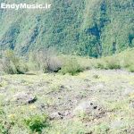 دانلود ریمیکس نازی جون بیا چشم انتظاری نازی همدم من شهرام کاشانی