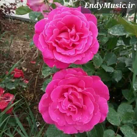 دانلود آهنگ ای خدا دیگه دنیا واسه من تاریکه