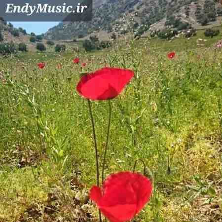 دانلود آهنگ پدر یعنی گرمی یک خانه هایده هوش مصنوعی