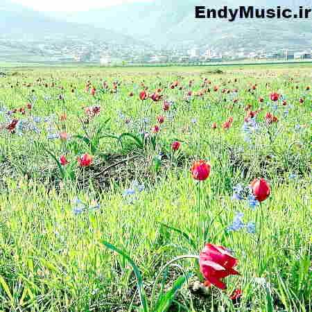 دانلود آهنگ همه دعوت شدن امشب توی این خونه مهستی هوش مصنوعی