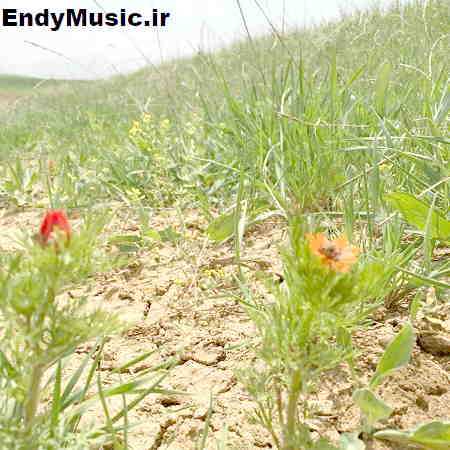 دانلود آهنگ توی دنیا چی میخوای معین هوش مصنوعی