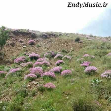 دانلود ریمیکس سلام ای بهترینم هنوز عاشق ترینم دانلود ریمیکس سلام ای بهترینم هنوز عاشق ترینم