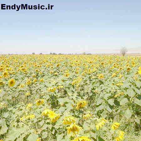 دانلود آهنگ ﻣﻴﻢ ﻣﺜﻞ ﻣﺮﻳﻢ ﻣﻴﻢ ﻣﺜﻞ ﻣﺎدر شادمهر عقیلی هوش مصنوعی