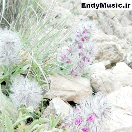 دانلود آهنگ عجب جایی به داد من رسیدی