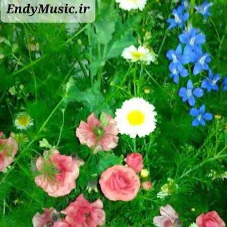 دانلود ریمیکس بهار باز اومده دوباره باز تموم دل ها چه بیقراره ورژن اسلو دانلود ریمیکس بهار باز اومده دوباره باز تموم دل ها چه بیقراره ورژن اسلو