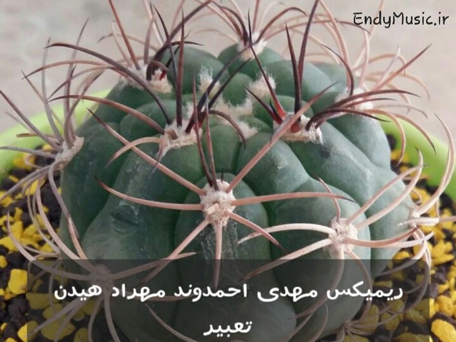 دانلود ریمیکس تو اومدی و عشق رویامو تعبیر کرد مهدی احمدوند و مهراد هیدن