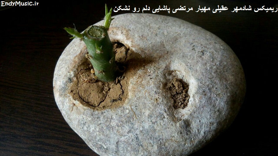 دانلود ریمیکس دلم رو نشکن مرتضی پاشایی و مهیار و شادمهر عقیلی