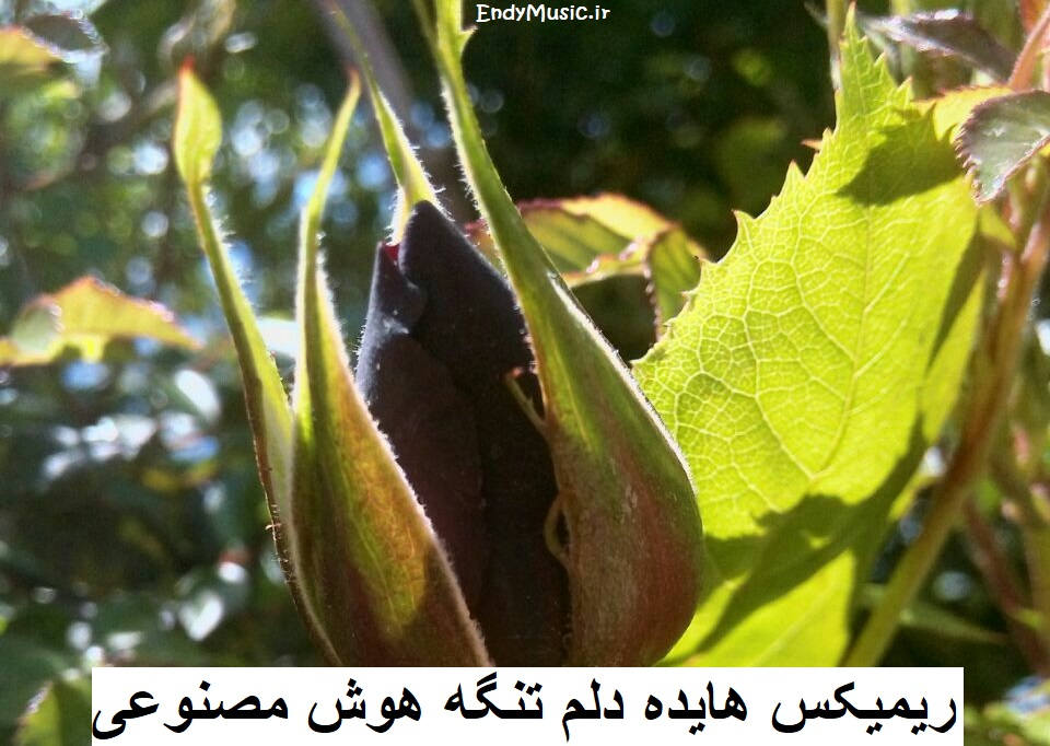 دانلود ریمیکس من دلم تنگه برا تو هوش مصنوعی هایده