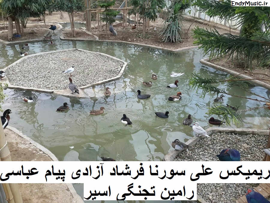 دانلود ریمیکس یخ رامین تجنگی و پیام عباسی و فرشاد آزادی و علی سورنا دانلود ریمیکس یخ رامین تجنگی و پیام عباسی و فرشاد آزادی و علی سورنا
