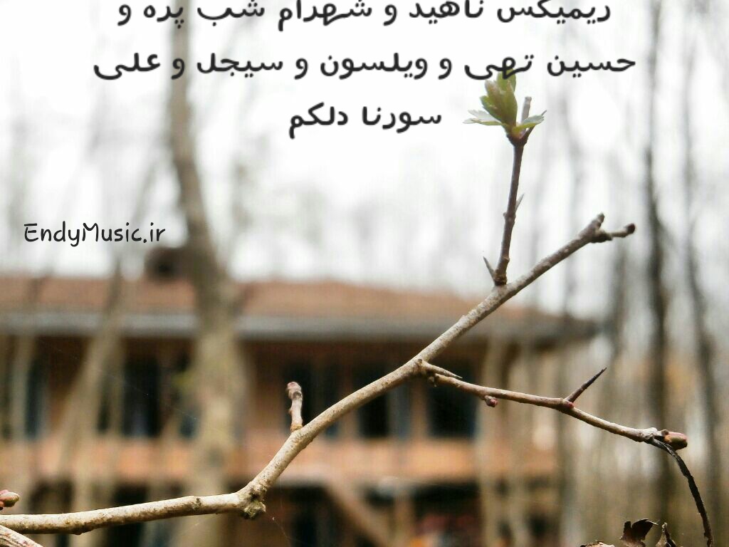 دانلود ریمیکس دلبرکم شهرام شب پره و ناهید و علی سورنا و سیجل و ویلسون و حسین تهی