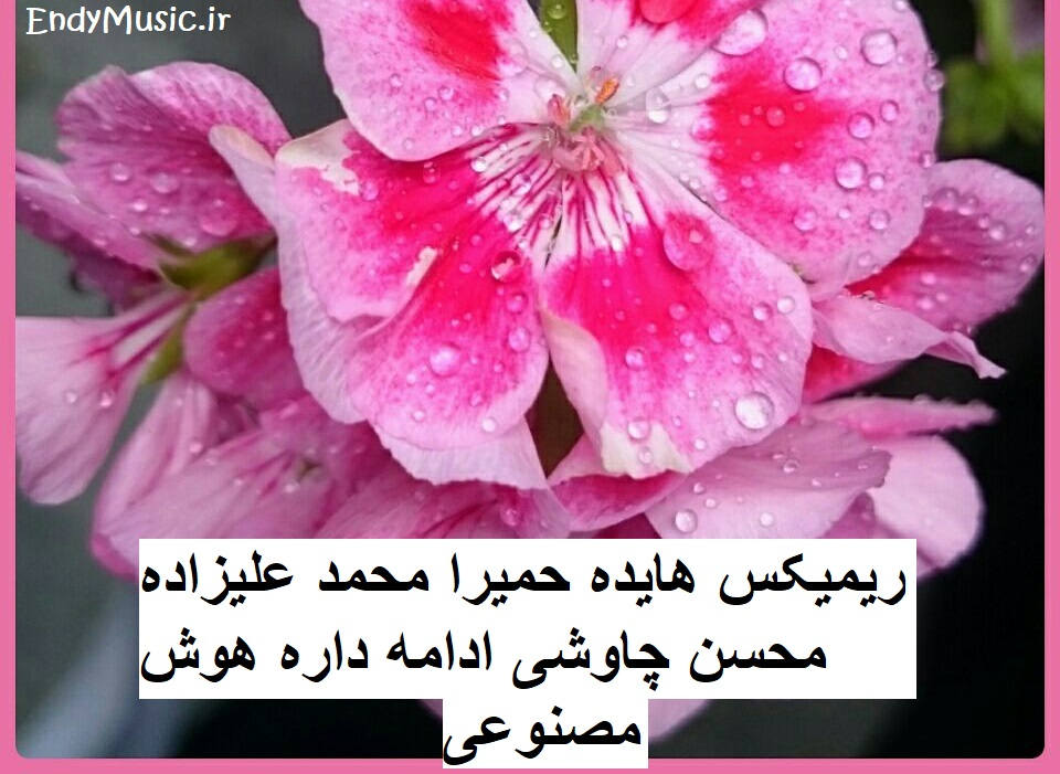 دانلود ریمیکس بارون هوش مصنوعی محمد علیزاده و محسن چاوشی و هایده و حمیرا