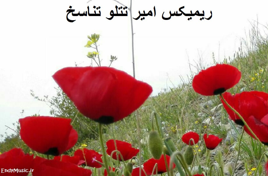 دانلود ریمیکس تناسخ بین ما غوغاشو کرده امیر تتلو