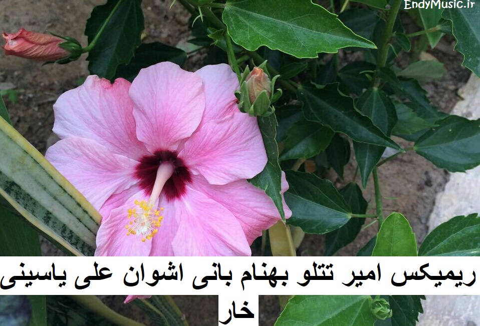 دانلود ریمیکس خار امیر تتلو و بهنام بانی و اشوان و علی یاسینی دانلود ریمیکس خار امیر تتلو و بهنام بانی و اشوان و علی یاسینی