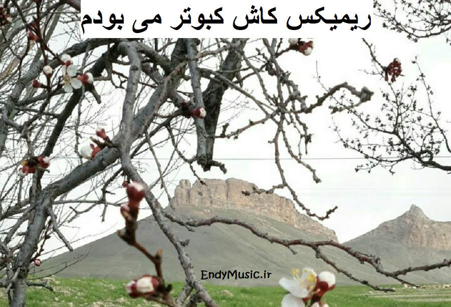 دانلود ریمیکس کاش کبوتر می بودم پا به پات پر میزدم