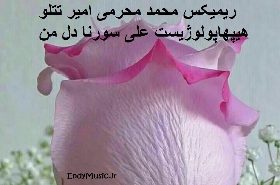 دانلود ریمیکس دل من محمد محرمی و امیر تتلو و هیپهاپولوژیست و علی سورنا دانلود ریمیکس دل من محمد محرمی و امیر تتلو و هیپهاپولوژیست و علی سورنا