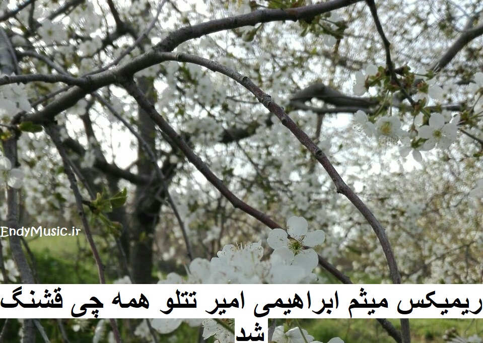 دانلود ریمیکس همه چی قشنگ شد میثم ابراهیمی و امیر تتلو