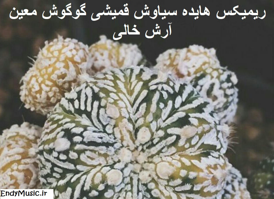 دانلود ریمیکس خالی هایده و سیاوش قمیشی و گوگوش و معین و آرش