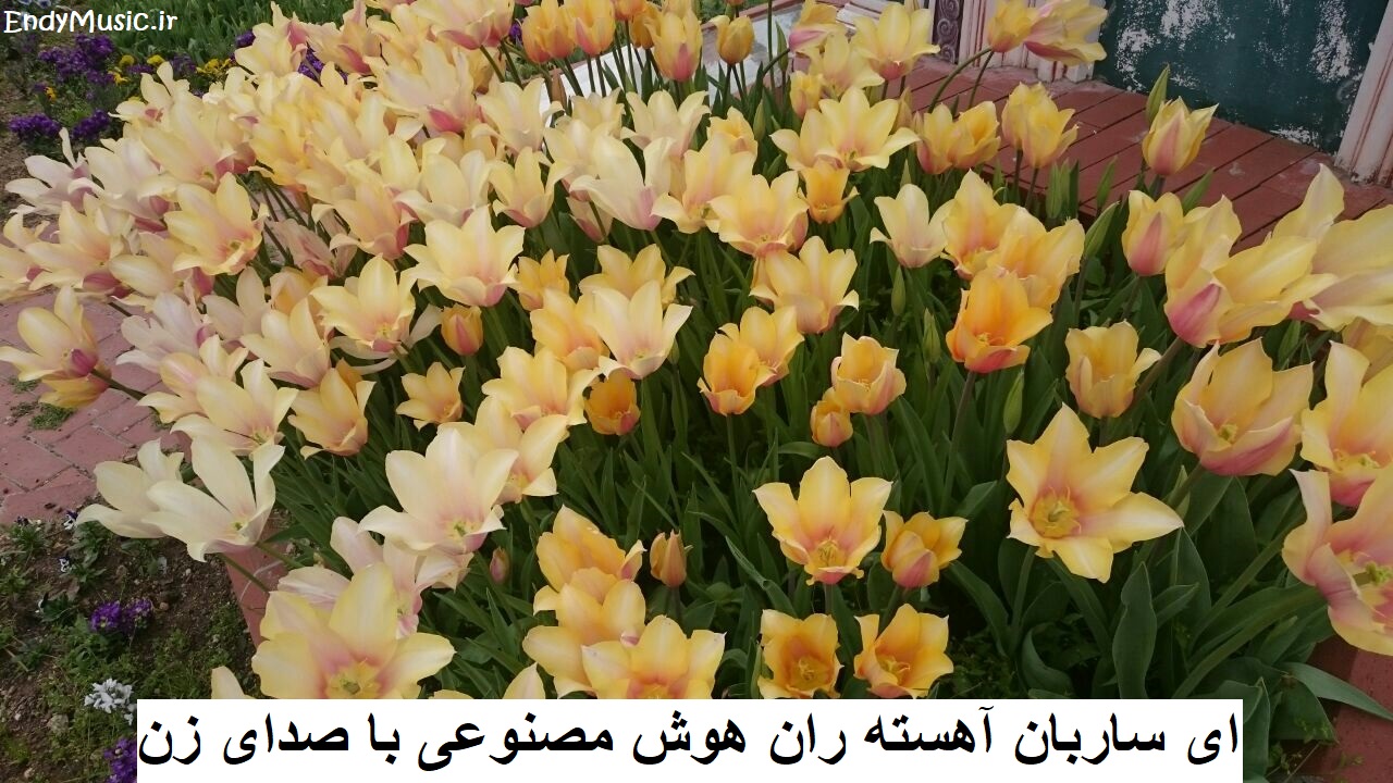 دانلود آهنگ ای ساربان آهسته ران هوش مصنوعی با صدای زن