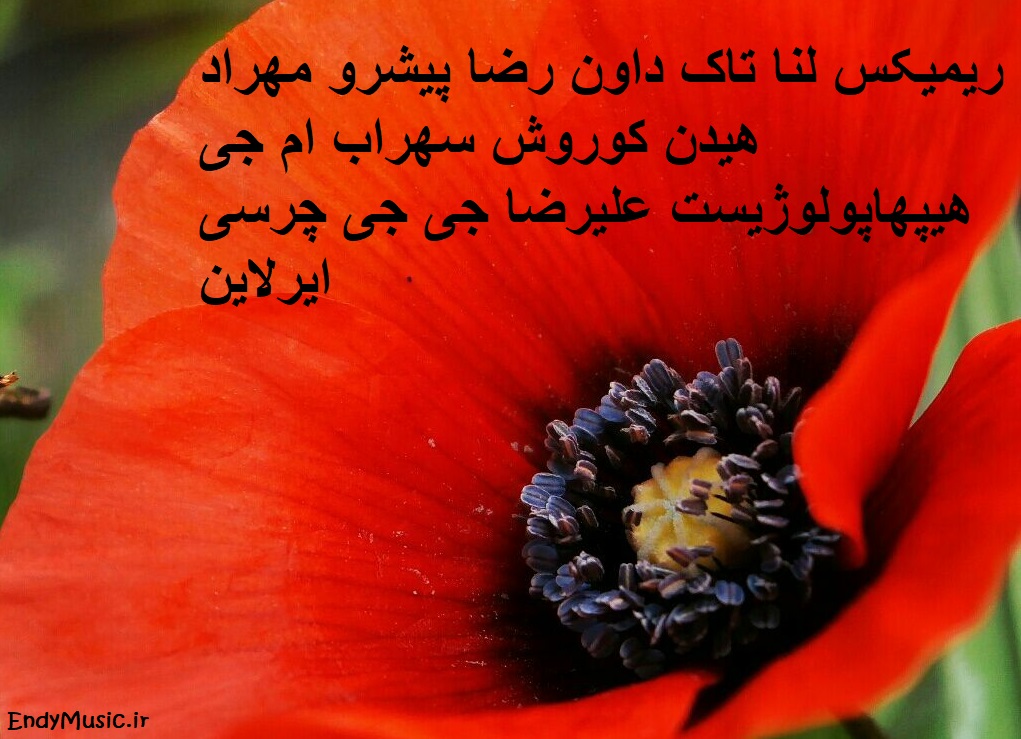 دانلود ریمیکس ایرلاین لنا تاک داون رضا پیشرو مهراد هیدن سهراب ام جی هیپهاپولوژیست دانلود ریمیکس ایرلاین لنا تاک داون رضا پیشرو مهراد هیدن سهراب ام جی هیپهاپولوژیست