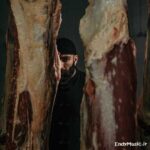 دانلود آهنگ ﺗﻮی ﻣﺮدادﻳﻢ اﻣﺎ اﻣﺸﺐ از ﻫﻤﻪ ﺷﺒﺎی زﻧﺪﮔﻴﻢ ﺳﺮد ﺗﺮه حمید صفت