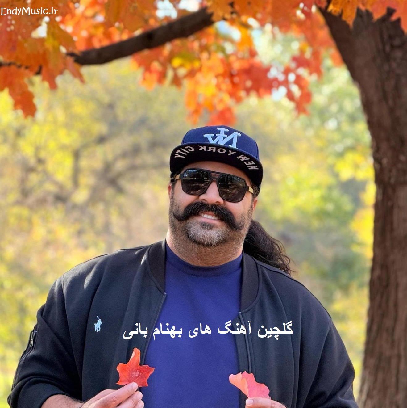 دانلود بهترین موزیک های بهنام بانی | فول گلچین یکجا دانلود بهترین موزیک های بهنام بانی | فول گلچین یکجا