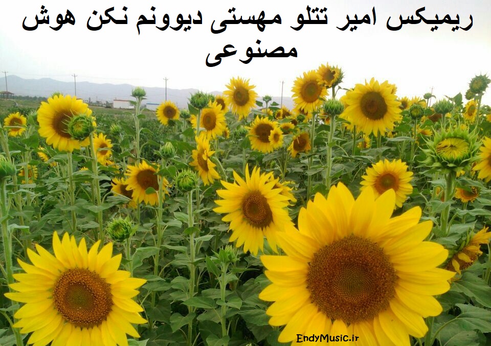 دانلود ریمیکس احساسی و متفاوت آهنگ دیوونم نکن از مهستی و امیر تتلو هوش مصنوعی دانلود ریمیکس احساسی و متفاوت آهنگ دیوونم نکن از مهستی و امیر تتلو هوش مصنوعی