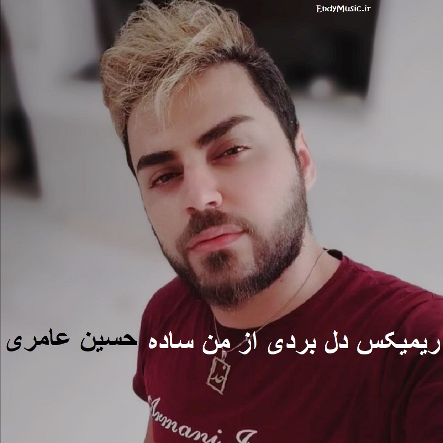 دانلود ریمیکس دل ﺑﺮدی از ﻣﻦ ﺳﺎده حسین عامری دانلود ریمیکس دل ﺑﺮدی از ﻣﻦ ﺳﺎده حسین عامری