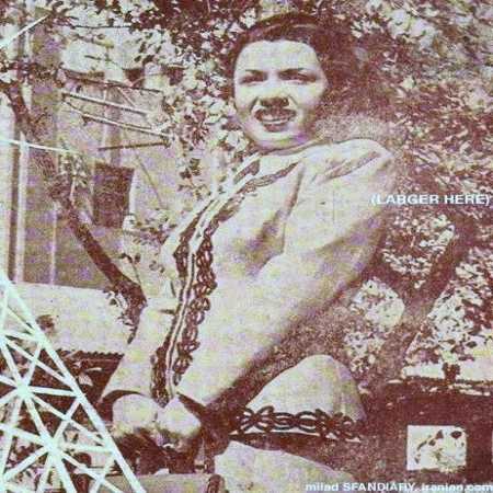 دانلود آهنگ آمدم از دلکش دانلود آهنگ آمدم از دلکش