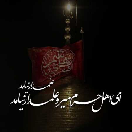 دانلود مداحی یه باغبون خسته دل باغی پر از آلاله داشت دانلود مداحی یه باغبون خسته دل باغی پر از آلاله داشت
