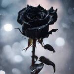 دانلود آهنگ سنگ مزارم هوش مصنوعی صدای زن آرزو دانلود آهنگ سنگ مزارم هوش مصنوعی صدای زن آرزو