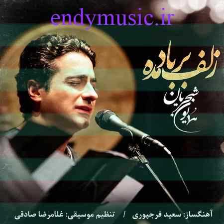 دانلود آهنگ زلف بر باد مده همایون شجریان دانلود آهنگ زلف بر باد مده همایون شجریان