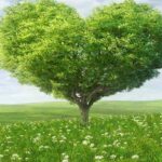 دانلود آهنگ ستاره شادمهر عقیلی و هوش مصنوعی آی ستاره آی ستاره بی تو شب نوری نداره